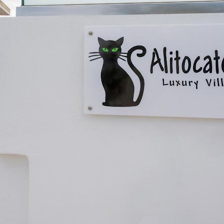 Villa Alitocatos Dhrapaniás エクステリア 写真